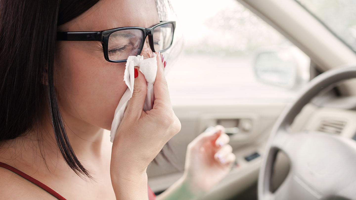 ¿Cómo afectan las alergias a la conducción?