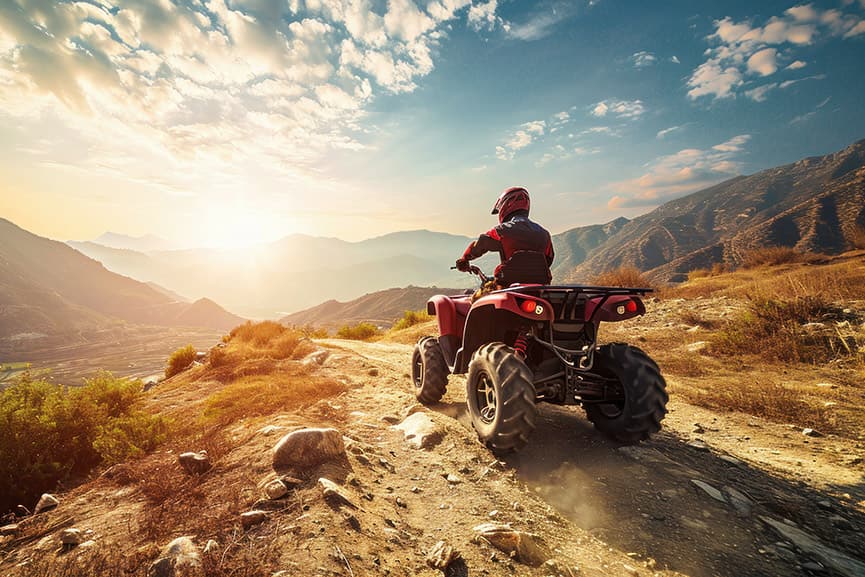 Tipos seguro de quads