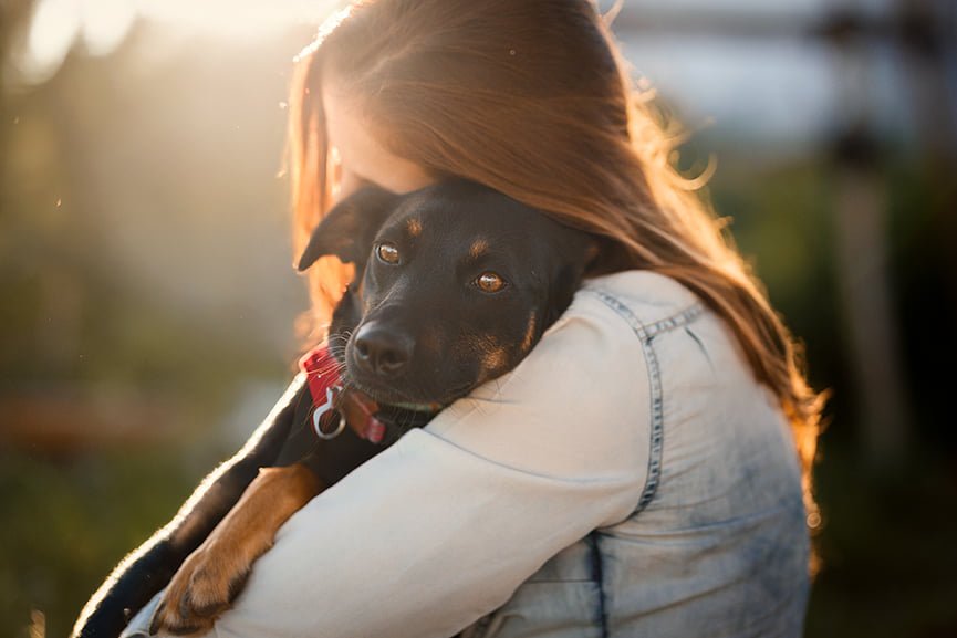 Animales que puedes adoptar legalmente en España