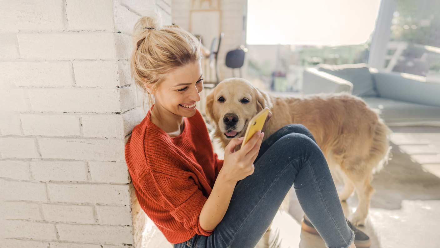 Dermatitis en perros