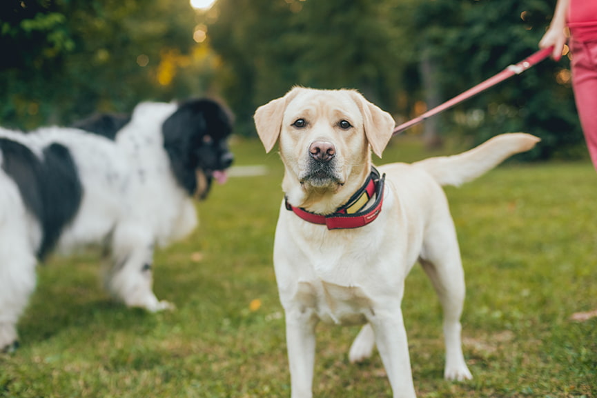 Cobertura Responsabilidad Civil