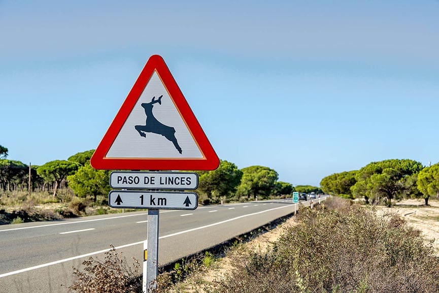 Seguro de moto con daños causados por animales