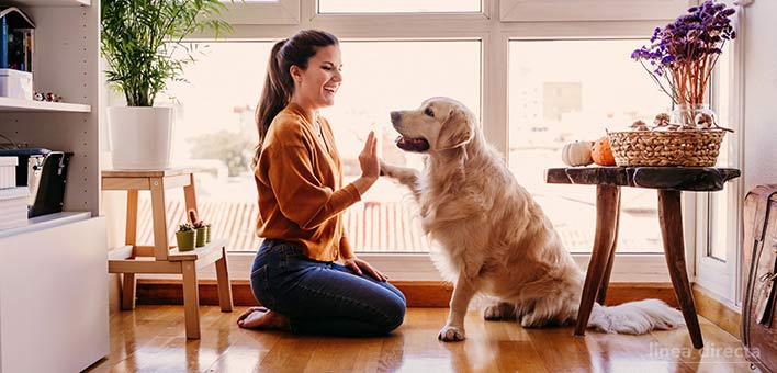 Asistencia de Animales Domésticos