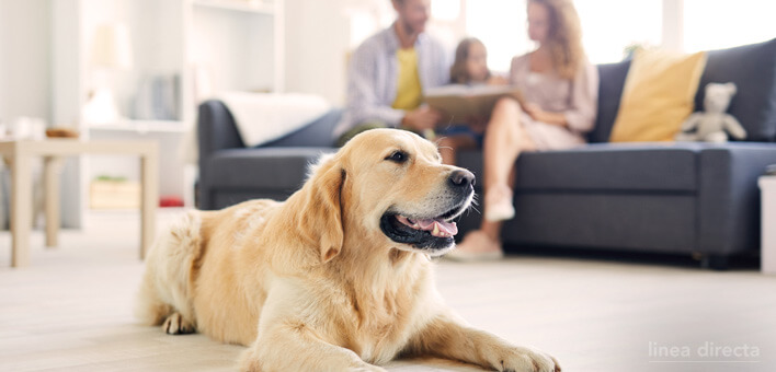 ¿Me cubre el seguro si mi perro muerde a alguien en mi casa?