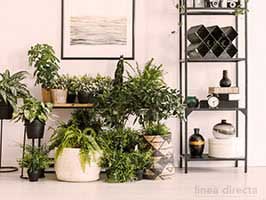 Combatir contra los insectos
