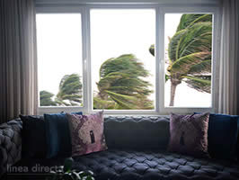 Cómo evitar que se produzcan daños por viento en el hogar