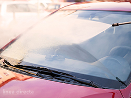 Trucos para limpiar los mosquitos del coche